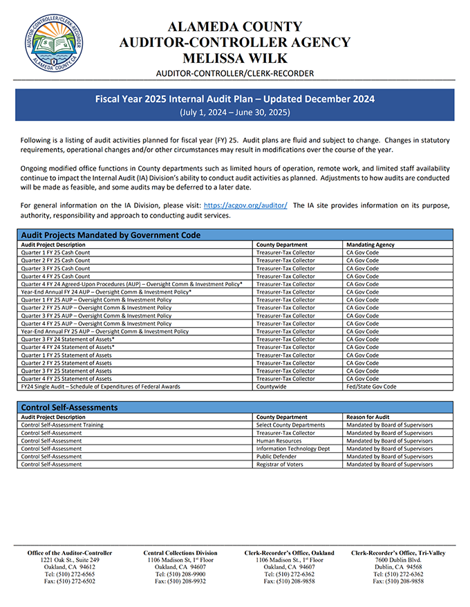 Fiscal Year 2025 Internal Audit Plan thumbnail