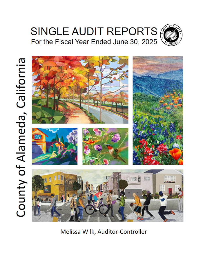 Single Audit Reports cover, Fiscal Year Ended June 20 2025